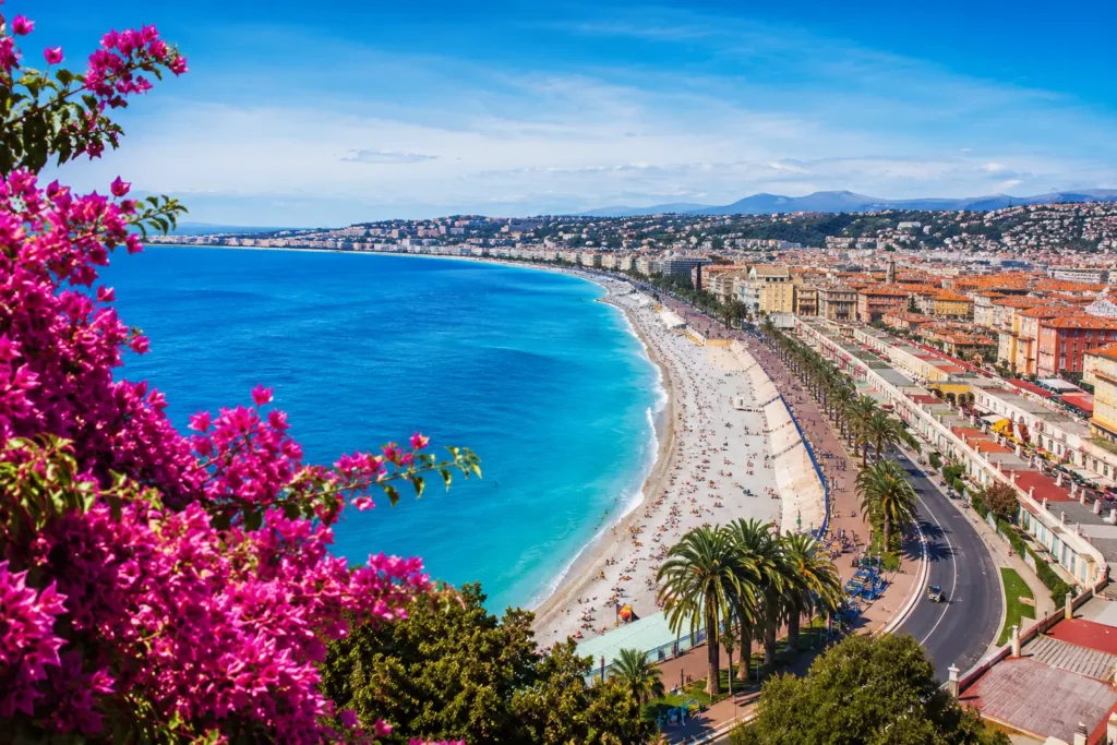 Panoramaudsigt over Nice og Promenade des Anglais med turkisblåt Middelhav, palmer, farverige bygninger og pink blomster i forgrunden på den franske riviera.